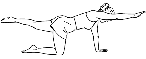 Упражнение на стабилизаторы спины